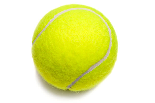 Wilson Championship Tennis Balls 3 Pack