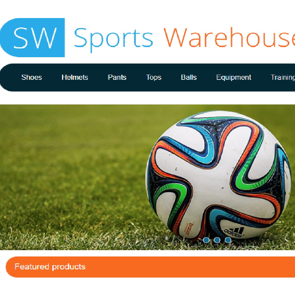 Portrait of the person